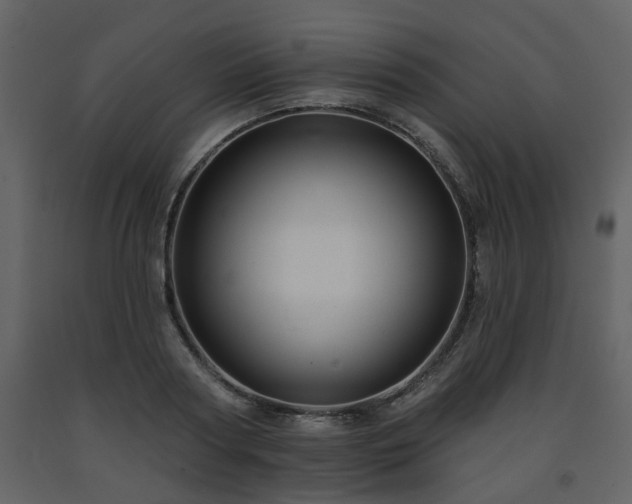 X0000091700794200708241222