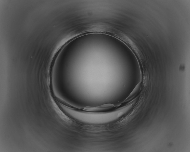 X0000091700795200708241222