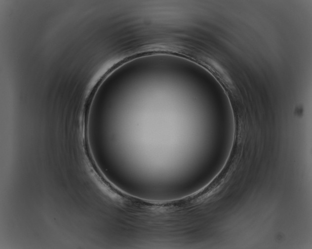 X0000091700796200708241222
