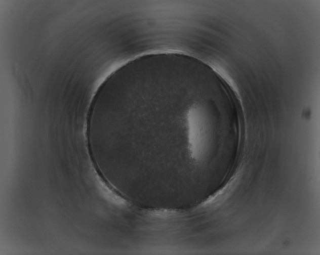 X0000091700797200708241222
