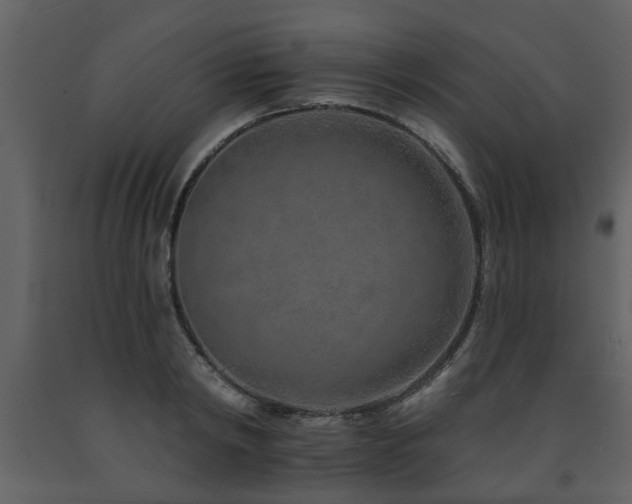 X0000091700798200708241222