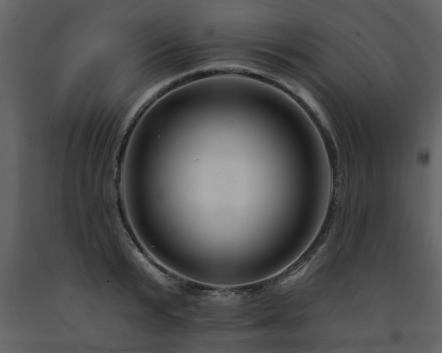 X0000091700799200708241222
