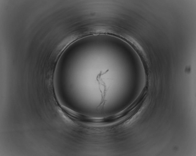 X0000091700801200708241222