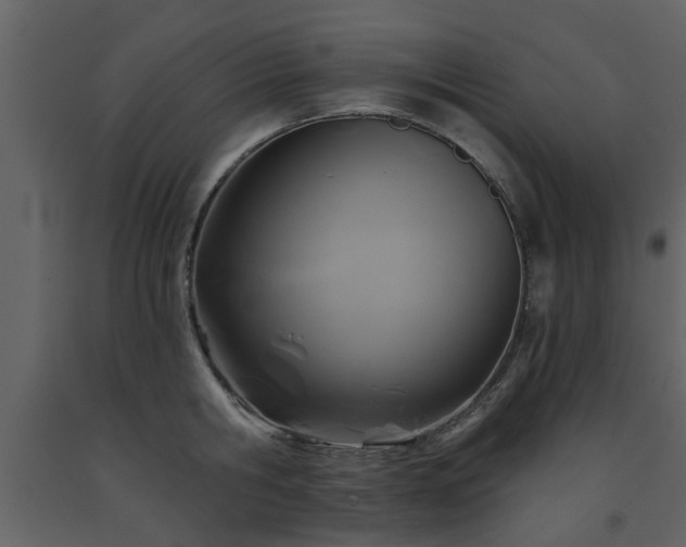 X0000091700806200708241222