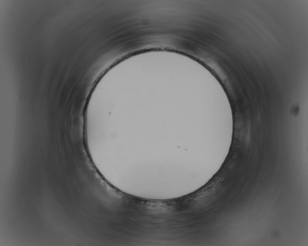 X0000091700807200708241222