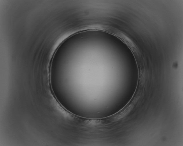 X0000091700808200708241222
