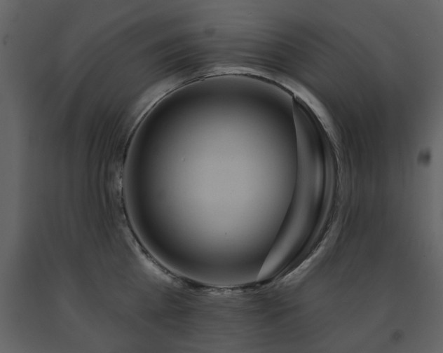 X0000091700809200708241222