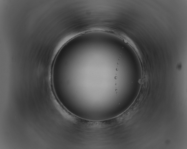 X0000091700811200708241222