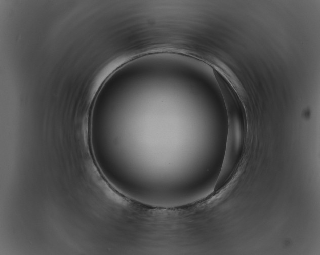 X0000091700812200708241222