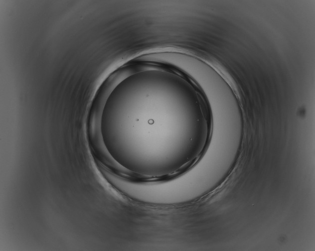 X0000091700813200708241222