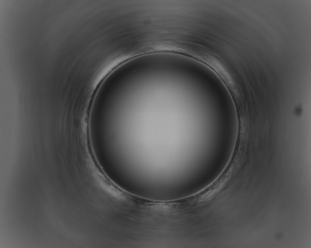 X0000091700814200708241222