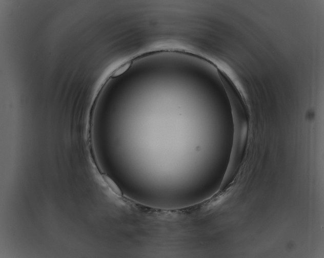 X0000091700815200708241222