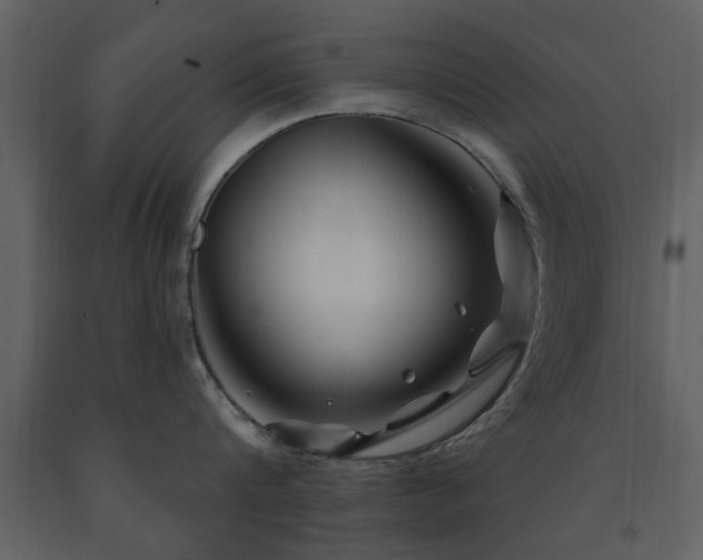 X0000091700816200708241222