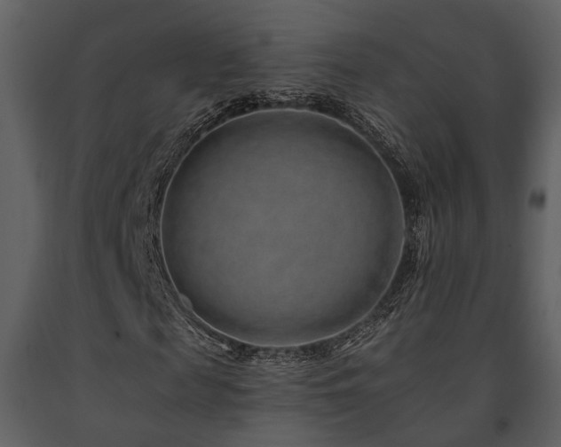X0000091700817200708241221