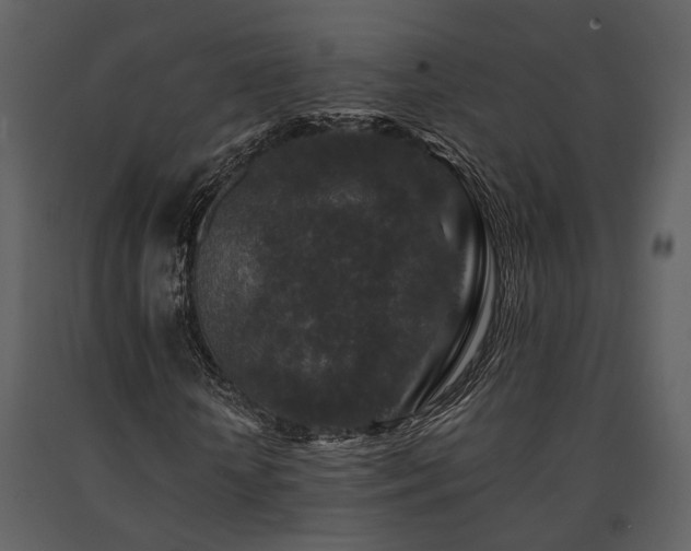 X0000091700818200708241221