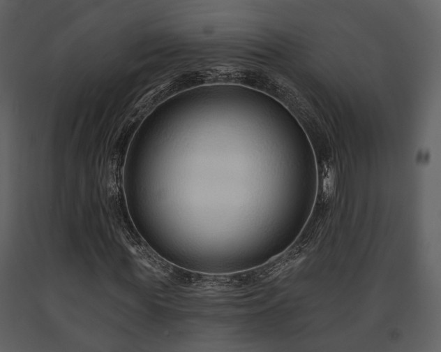 X0000091700819200708241221