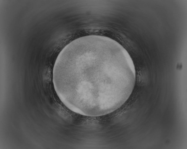 X0000091700820200708241221