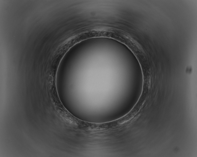 X0000091700821200708241221