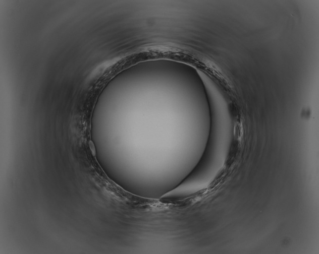 X0000091700822200708241221