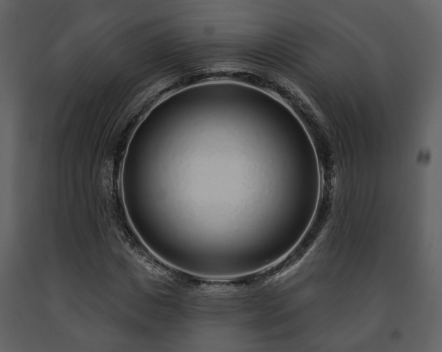 X0000091700825200708241221