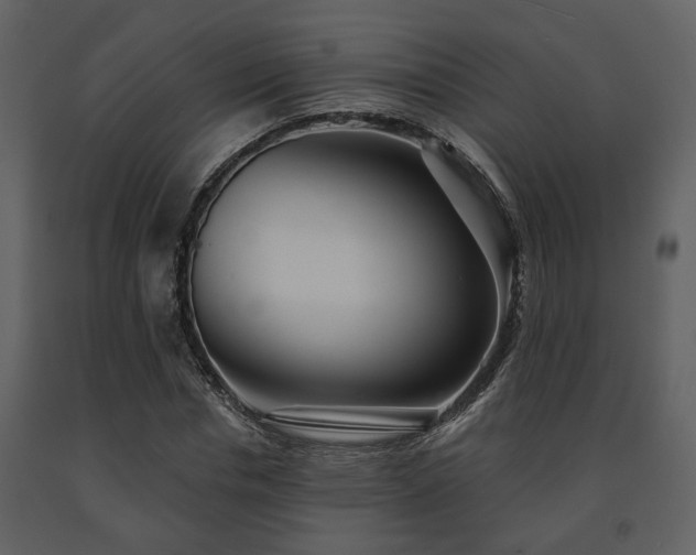 X0000091700826200708241221