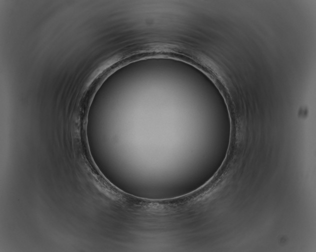 X0000091700827200708241221