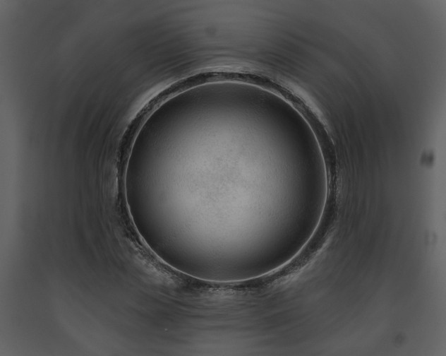 X0000091700829200708241221