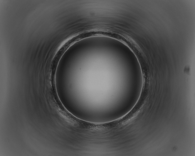 X0000091700830200708241221
