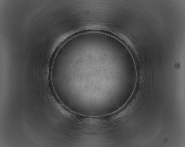 X0000091700831200708241221