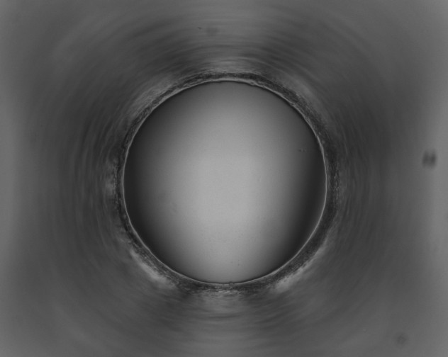 X0000091700833200708241221