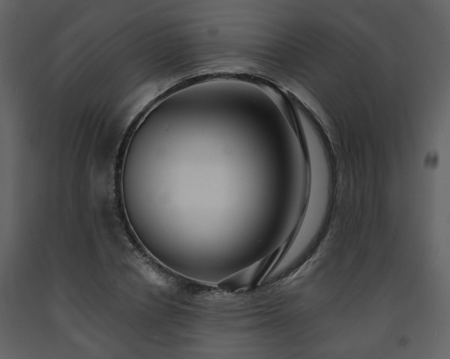 X0000091700834200708241221
