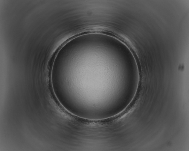 X0000091700835200708241221