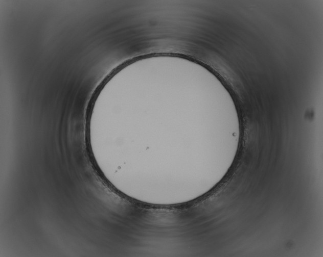 X0000091700836200708241221