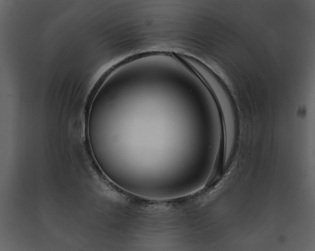 X0000091700838200708241221