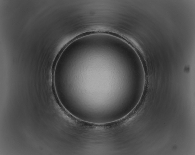 X0000091700839200708241221