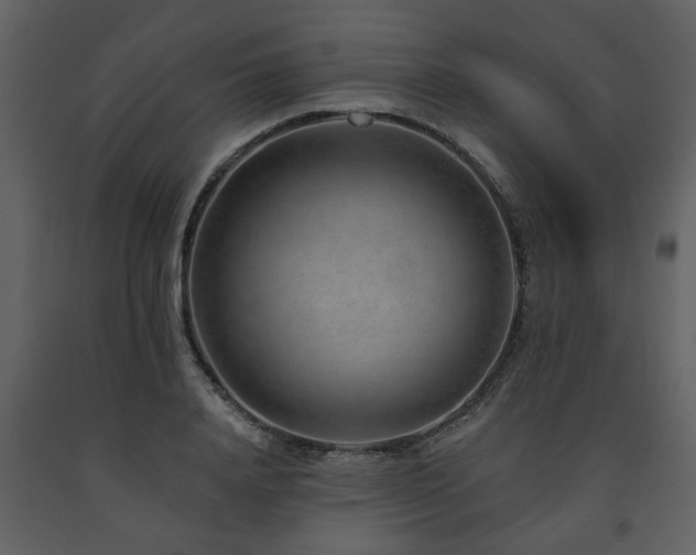 X0000091700840200708241221