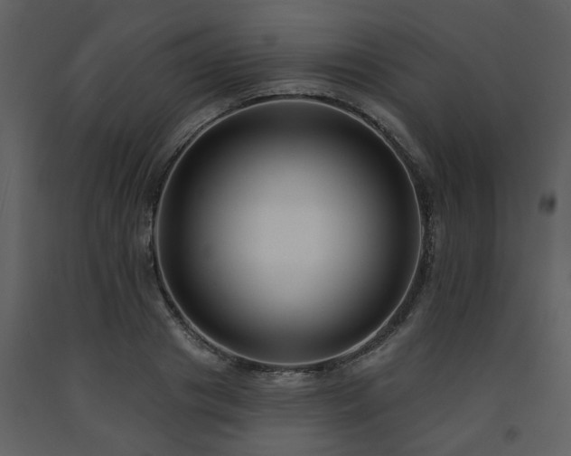 X0000091700841200708241221