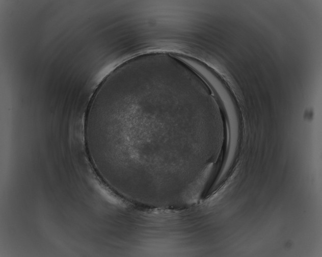 X0000091700842200708241221