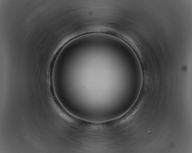 X0000091700843200708241221