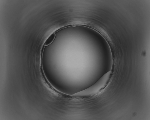 X0000091700844200708241221