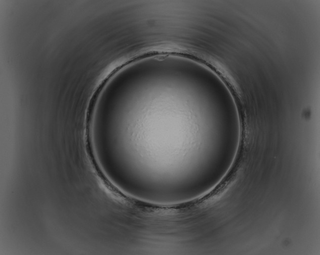 X0000091700845200708241221