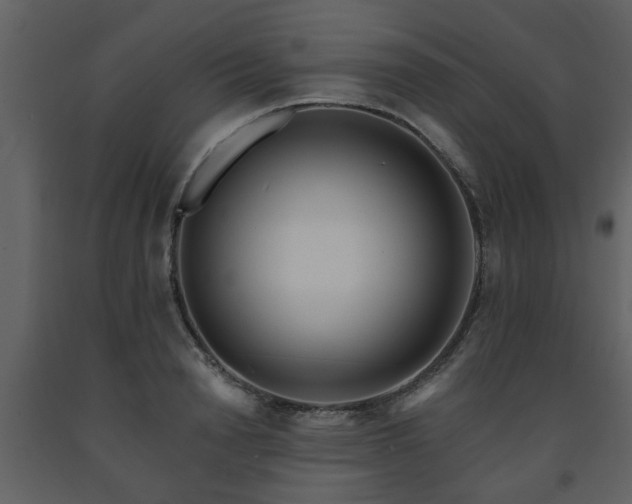 X0000091700846200708241221