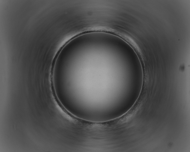 X0000091700847200708241221