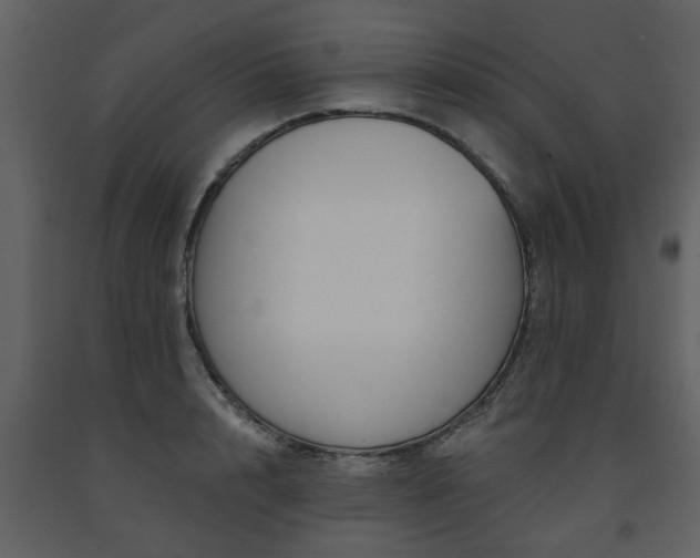 X0000091700848200708241221