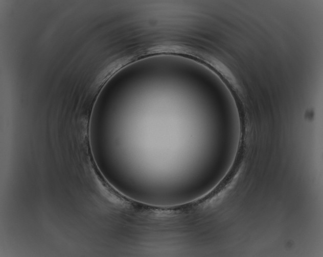 X0000091700849200708241221