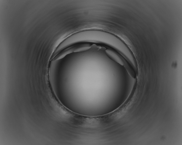 X0000091700850200708241221