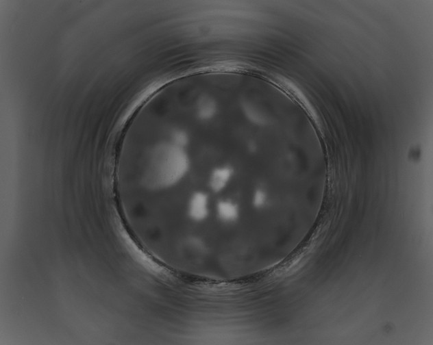 X0000091700851200708241221