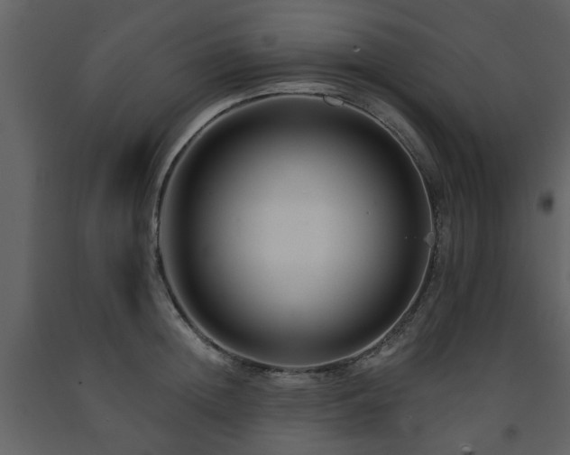 X0000091700852200708241221