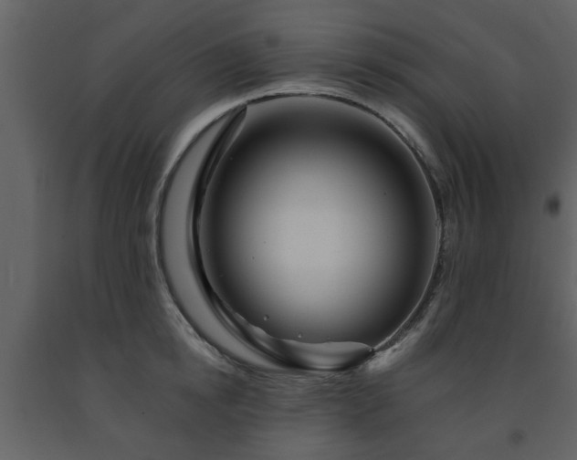X0000091700854200708241221