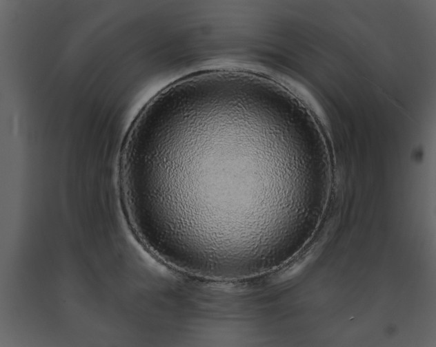 X0000091700855200708241221